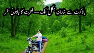 Sharan Forest go from Balakot #travel #narankagan #sharanforest  #balakot #unfrezzmyaccount 