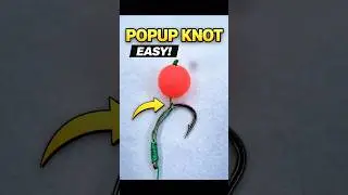 🐟MAKE UR POP AT HOME JUST LEARN THIS KNOT #fishing #shorts #popup #bigfish #ballset #ballsetfishing