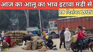 आज का आलू का भाव – 28 दिसंबर 2025 | नवीन मंडी, इटावा मंडी भाव अपडेट
