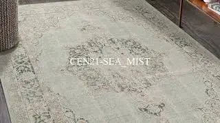 POWER-LOOM RUGS | CEN21 SEA MIST