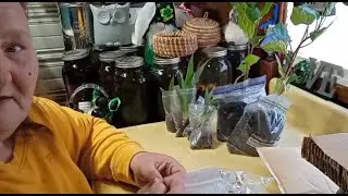 OWLS Family Seed Swap Package From @Dee McCoy