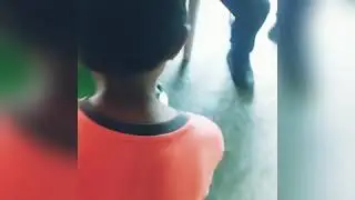 temani kucing joget