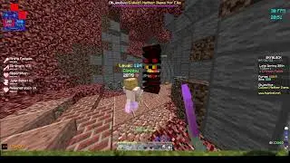 Nether Update??? hypixel skyblock