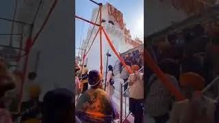Nihang Singh: Guardians of Sikh Tradition 🗡️👳&zwj;♂️#sikh #shorts