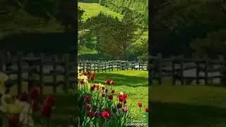 Que deus abe&ccedil;oe todos nos