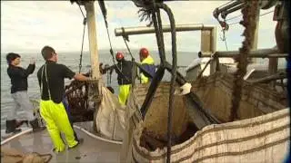 Just the Job - A Career in Aquaculture: Mussel Farming