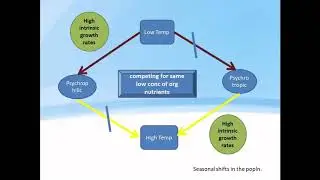 Negative Microbial interactions