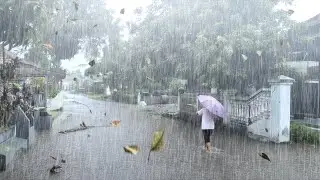 Суперливень и ветер проносятся в тихой деревне | Супер средство для сна &ndash; Rain Walk.