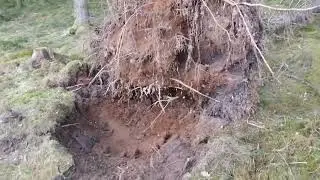 Ute i naturen
