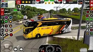 Experience the Thrill of Driving a US LUXURY Bus!