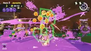 Salmon Run Spawning Grounds - Joe Time