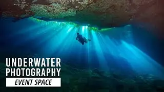 Underwater Photography: A Beginner&rsquo;s Guide | B&H Event Space