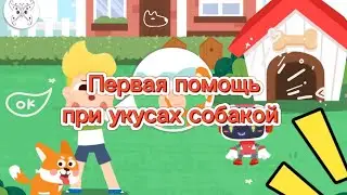 Первая помощь при укусах собакой