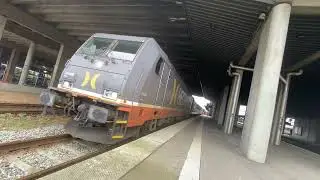 HectorRail Sn&auml;llt&aring;get Shave And A Haircut Horn From An Awesome Driver