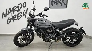 Ducati Scrambler Icon Nardo Grey