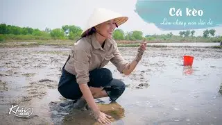 Bắt c&aacute; k&egrave;o nướng ống sậy, lẩu c&aacute; k&egrave;o l&aacute; giang đậm đ&agrave; miền T&acirc;y - Kh&oacute;i Lam Chiều #92| Catch Elongatus