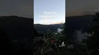 observen cuidadosamente