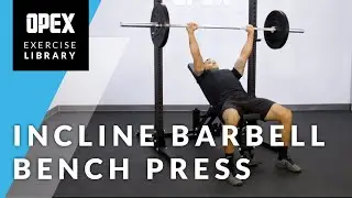 Incline Barbell Bench Press - OPEX Exercise Library
