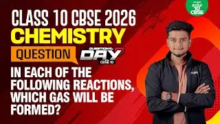 📑QOD❓In Each of the Following Reactions, Which Gas Will be Formed? | Xylem CBSE 10 Tamil