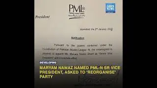 Maryam Nawaz appointed PML-N senior vice president, authorised to &lsquo;reorganise&rsquo; party | Developing