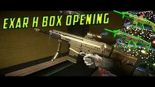 Gold Exar H Box Opening Warface