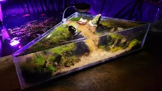 7 Liter Nano Aquascape - ULTRA CLEAR MUSEUM GLASS | Full build Step by Step - No Talking |