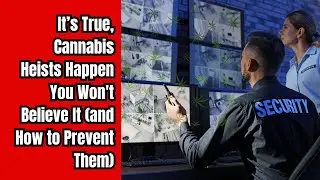 Inside the Wild World of Cannabis Security