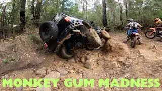 monkey gum | 8kms in 10 Hours | Part 2 |