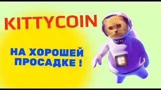 Kittycoin Global Блокчейн-лотерея для воплощения мечты