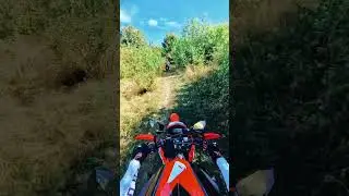 #bikelife #dirtbikeriding #motorcycle #forest #music #crf300l #motovlog #enduro #explore #honda #crf