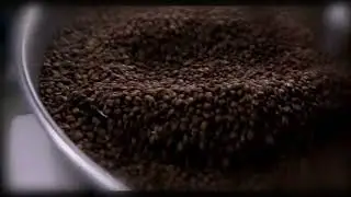 Coffee Roasting Machine.