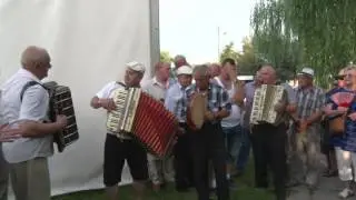 Pograjki w Kazimierzu Dolnym 2016 Harmonista Tomasz Siara 