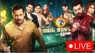 Bigg Boss 15 Live: Bigg Boss Today Episode 29 December | Pratik Sehajpal | Umar Riaz | Karan Kundra