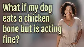What if my dog eats a chicken bone but is acting fine?