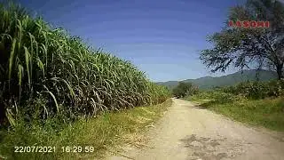 Al Capire Ahuehuetzingo