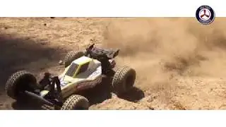 Are ECX AMP RC Cars great for beginners?