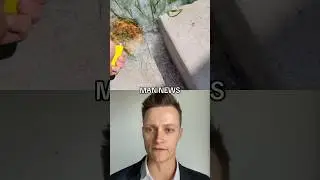 Trained Professional Incinerates Weeds | Man News (via clhaider on tt) #satisfying #fire #lifehacks