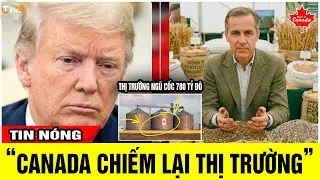 Chiến lược ngũ cốc v&agrave; ph&acirc;n b&oacute;n của Canada KHIẾN Mỹ mất thị trường trị gi&aacute; 780 tỷ đ&ocirc; la