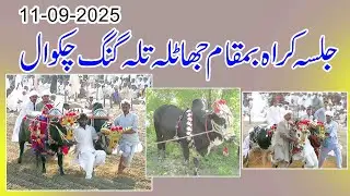 Jalsa Bail Karah 11Sep 2025 Full Jalsa Karah JhatlaTalagang Chakwal by Safqat Ke Rang