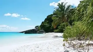 9 Hours Tropical Ocean Waves 🌴 Azure Beach Ambience in 4K | Relax, Sleep, Study, Stress Relief