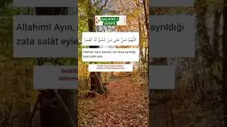 Delailul Hayrat