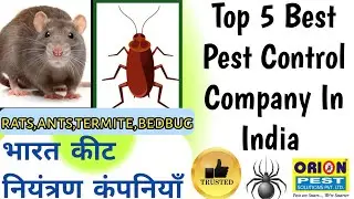 Top 5 Pest Control Companies In India Must Watch