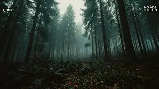 9 Hours of Howling Wind in a Dark Misty Forest | Deep Sleep & Brown Noise