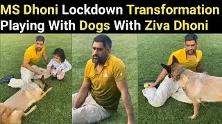 MS Dhoni and His Family Latest Video Playing Cricket With Dog Sam | Sakshi Singh | Ziva Dhoni