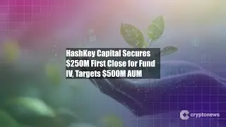 HashKey Capital Secures $250M First Close for Fund IV, Targets