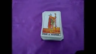 Page of wands tarot card meaning.