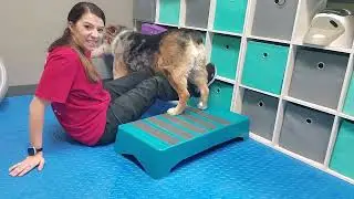 Luna Conditioning 