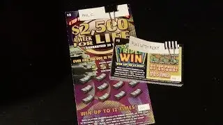 600 Sub Contest Tickets (Fun With Ricky, phil c.) FL Lottery Scratchers