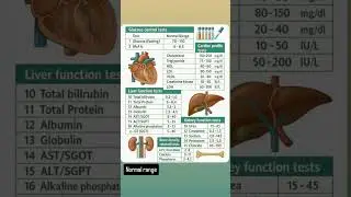medical knowledge 🏥💊⚕️😷