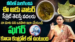 400 ఉన్న షుగర్ 120దిగుతుంది రోజు 4 ఆకులు తింటే | Diabetes, sugar thaggalante | Dr. jyoshna puilpati